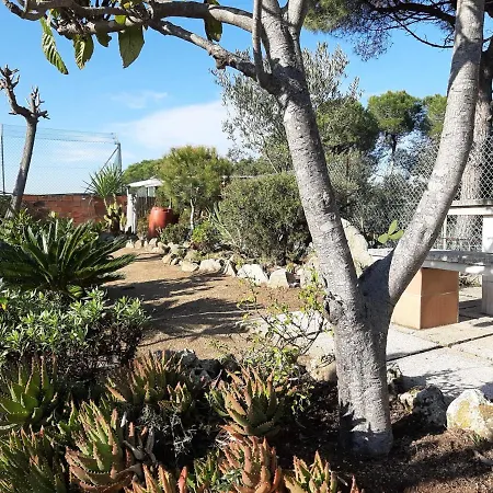 Guest house En Coliving *